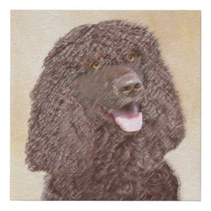 Irish Water Spaniel Painting - Original Dog Art Faux Canvas Print
