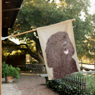 Irish Water Spaniel Painting - Original Dog Art House Flag