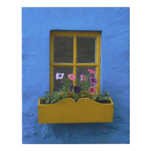 Irish window and windowbox faux canvas print