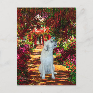 Irish Wolfhound 4 - The Path Postcard