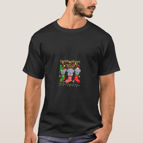 Irish Wolfhound Dog In Christmas Socks Lights Xmas T_Shirt
