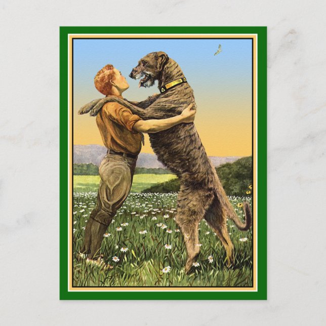 "Irish Wolfhound Greeting" Postcard (Front)