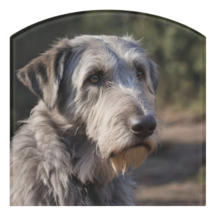 Irish Wolfhound I Am Not Amused, Door Sign