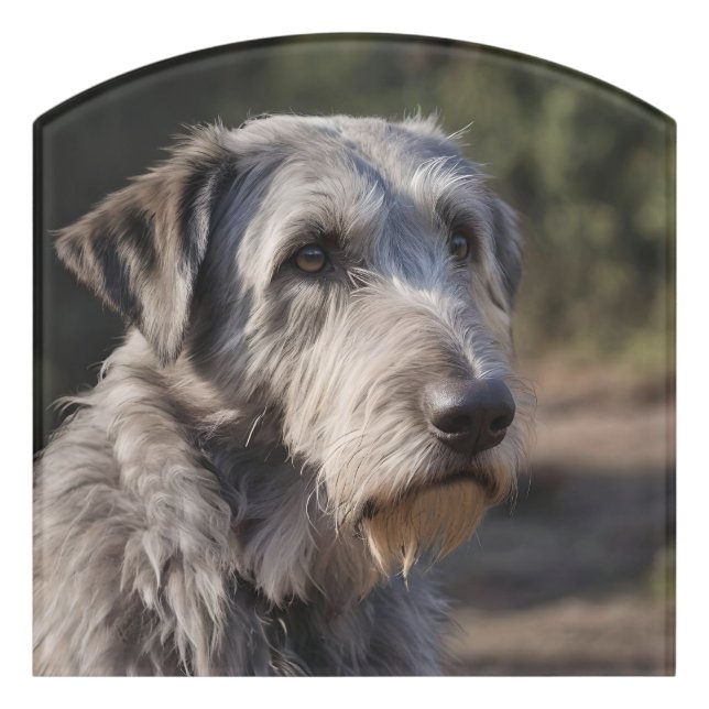 Irish Wolfhound I Am Not Amused, Door Sign (Contour Front)