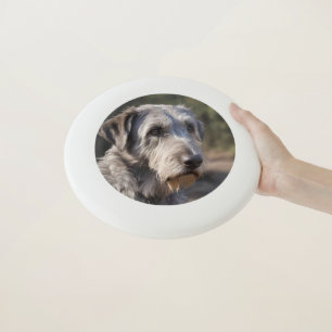 Irish Wolfhound I Am Not Amused, Wham-O Frisbee