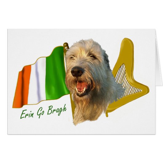 Irish Wolfhound Irish Flag and Harp Cards (Front Horizontal)