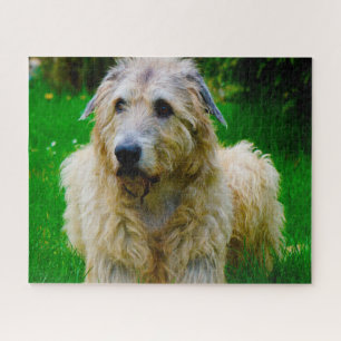 Irish Wolfhound. Jigsaw Puzzle
