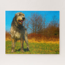 Irish Wolfhound. Jigsaw Puzzle