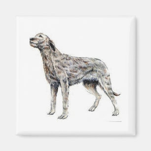 Irish Wolfhound Magnet