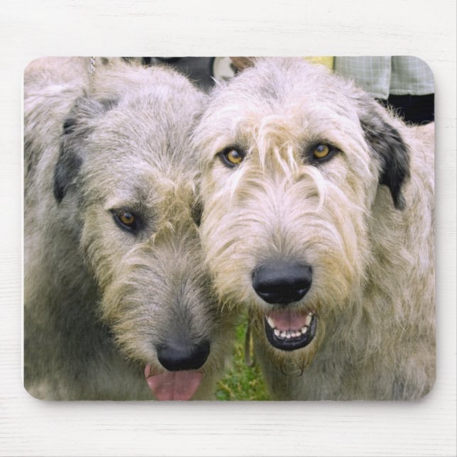 Irish Wolfhound Photo Mouse Pad (Front)