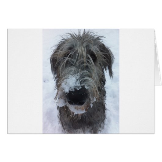 irish wolfhound playing in the snow (Front Horizontal)