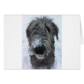 irish wolfhound playing in the snow cards