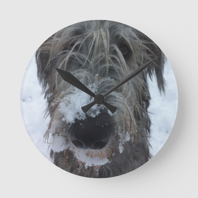 Irish wolfhound playing in the snow round clock (Front)