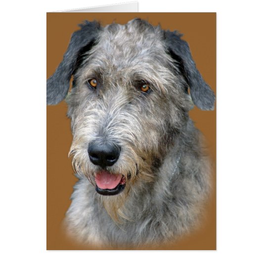 Irish Wolfhound Portrait Cards (Front)