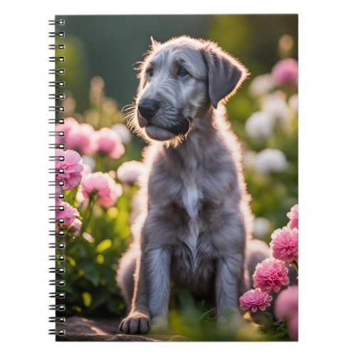 Irish Wolfhound puppy dog cute  Notebook