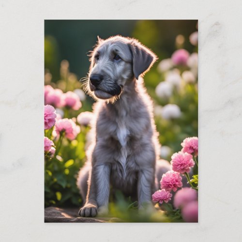 Irish Wolfhound puppy dog cute  Postcard