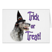 Irish Wolfhound Trick (Front Horizontal)