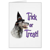 Irish Wolfhound Trick (Front)