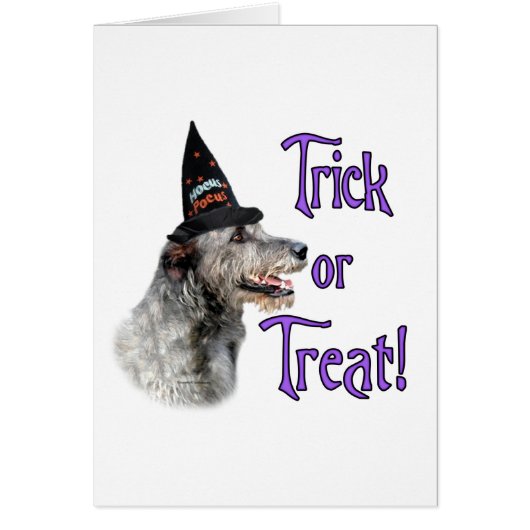 Irish Wolfhound Trick Cards (Front)