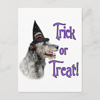 Irish Wolfhound Trick Postcard