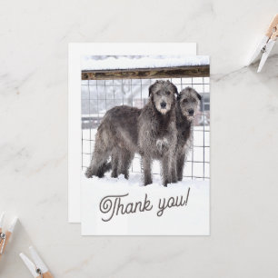 Irish Wolfhounds in Snow Invitation