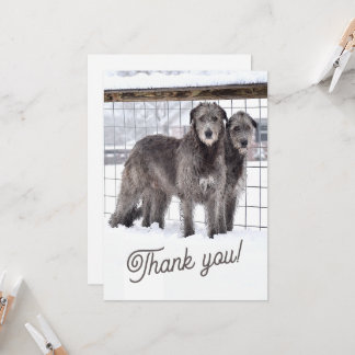 Irish Wolfhounds in Snow Invitation