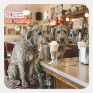 Irish Wolfhounds Sharing a Milkshake Square Sticker