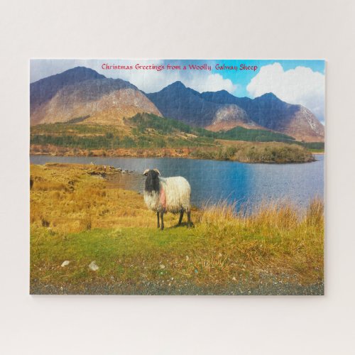 Irish Woolly Sheep Galway Ireland Jigsaw Puzzle