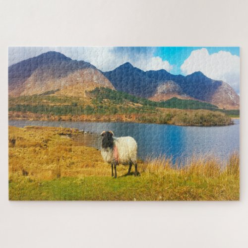 Irish Woolly Sheep Galway Ireland Jigsaw Puzzle