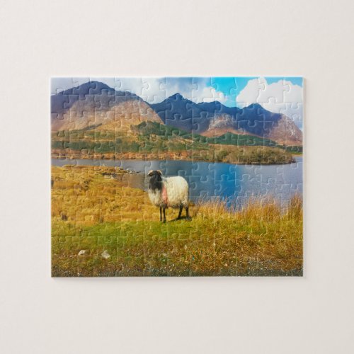 Irish Woolly Sheep Galway Ireland Jigsaw Puzzle