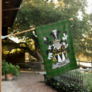  Irish Young Coat of Arms Family Crest Ireland House Flag