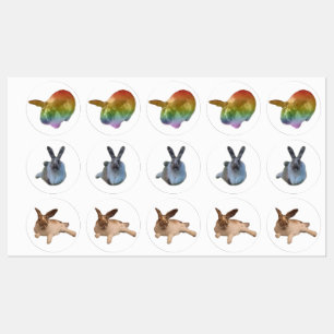 IRL Paddies Sticker Sheet
