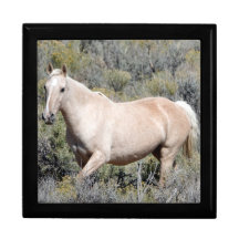 Irma of Sand Wash Basin