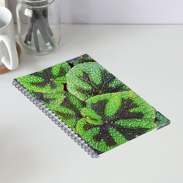 Iron Cross Begonia Floral Notebook (In Situ)