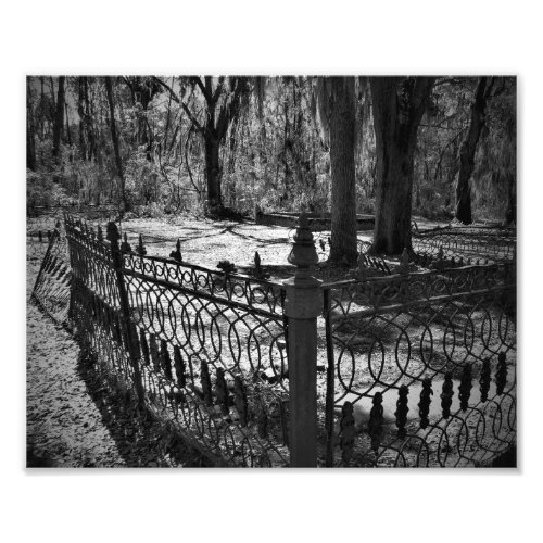 Iron Fence Photo Print