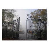Iron gate (Front Horizontal)