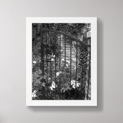 Iron Gate Vines Black And White PHotograph Framed Art
