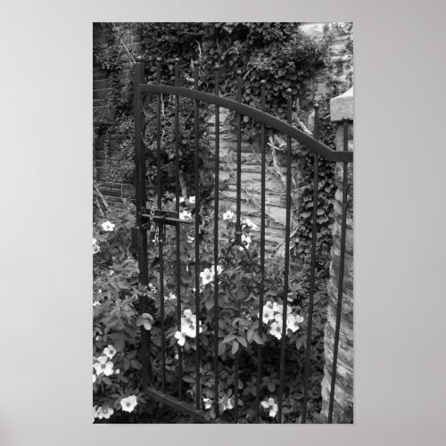 Iron Gate Vines Black And White PHotograph Poster
