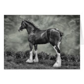 Iron Horse Steele (Front Horizontal)