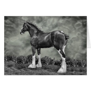 Iron Horse Steele Cards