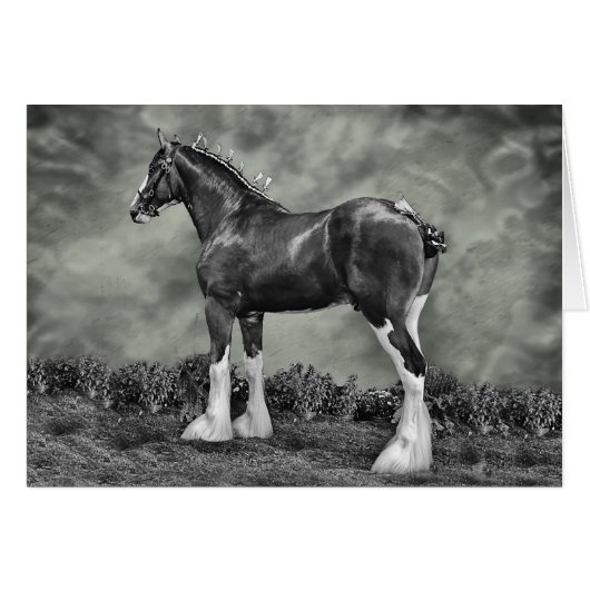 Iron Horse Steele Cards (Front Horizontal)