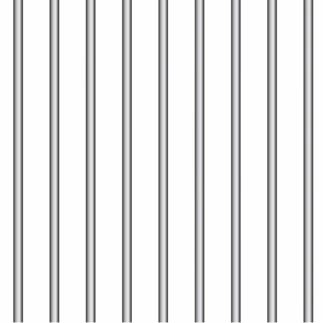 Iron Jail Bars Cutout (Front)