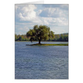 Iron Mountain Lake (Front)