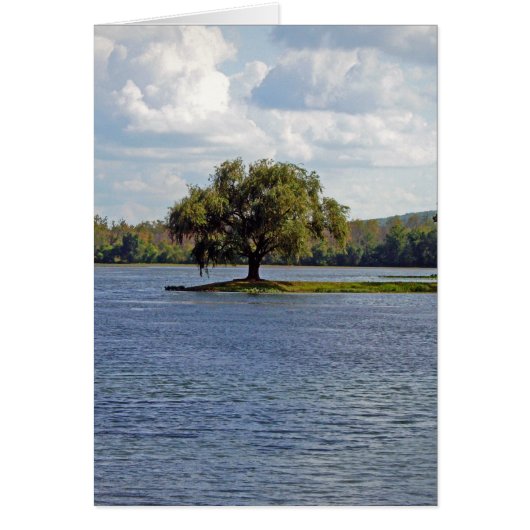Iron Mountain Lake Cards (Front)