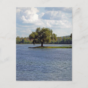Iron Mountain Lake Postcard