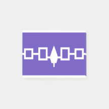 Iroquois Native American Flag