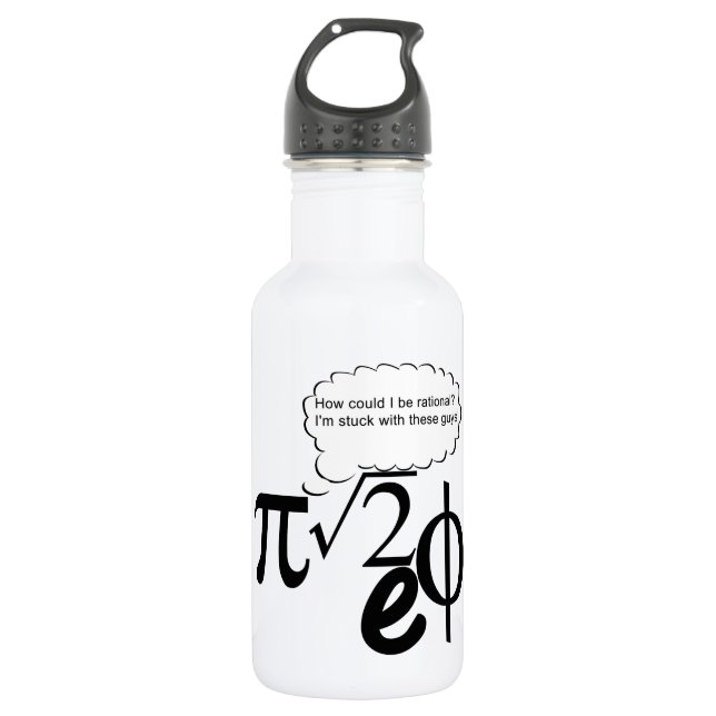 Irrational Buddies Stainless Steel Water Bottle (Front)