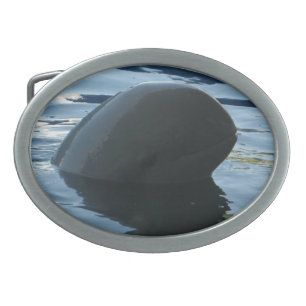Irrawaddy Dolphin Peek-A-Boo Belt Buckle