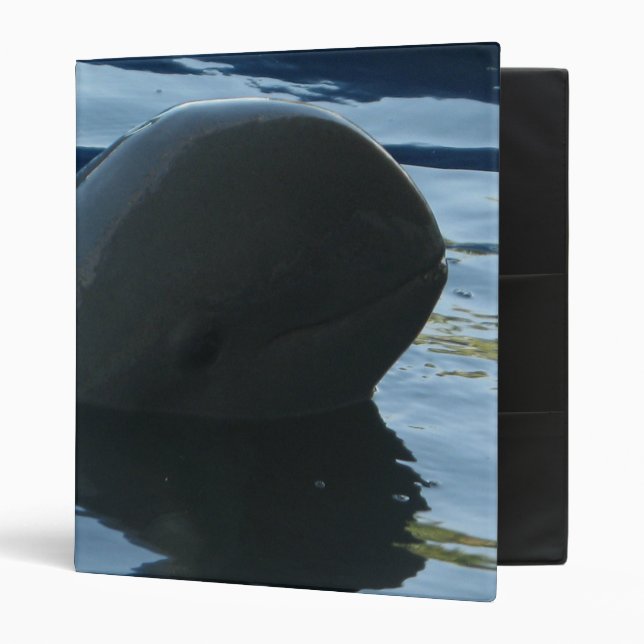 Irrawaddy Dolphin Peek-A-Boo Binder (Front/Inside)