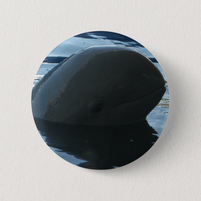 Irrawaddy Dolphin Peek-A-Boo Button (Front)